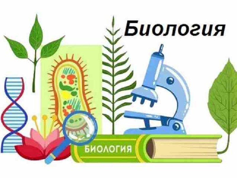 «Биология в жизни человека».